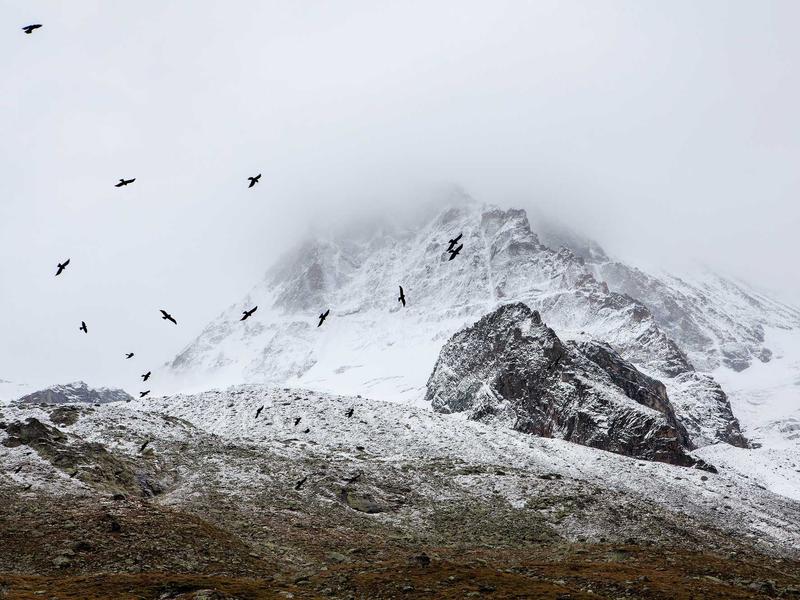 sudoku ocean theme screenshot 5